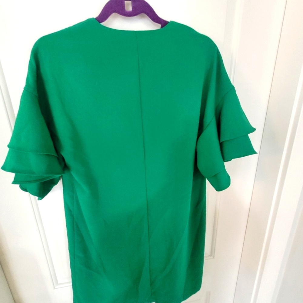 Zara Ruffle Sleeve Mini Dress - Picture 4 of 4
